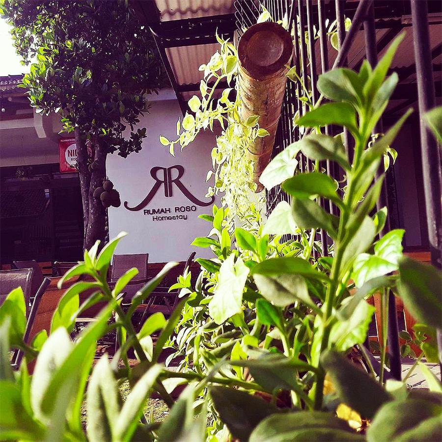 Homestay Rumah Roso